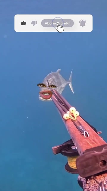 Short: a fish asks a fisherman for directions